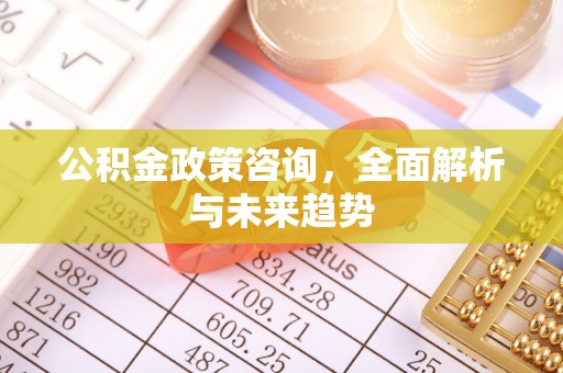 西咸公积金政策咨询，全面解析与未来趋势